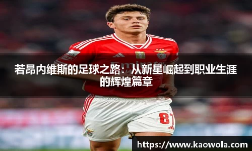若昂内维斯的足球之路：从新星崛起到职业生涯的辉煌篇章